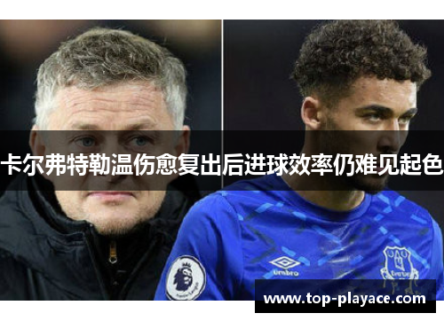卡尔弗特勒温伤愈复出后进球效率仍难见起色 卡尔弗特勒温伤愈复出后进球效率仍难见起色