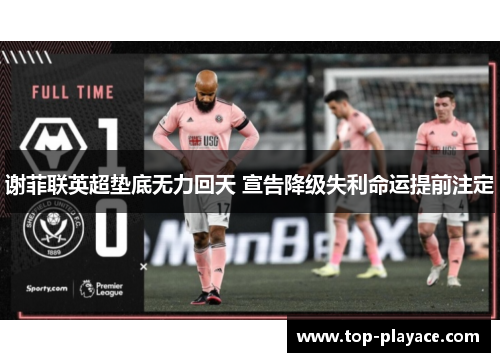 谢菲联英超垫底无力回天 宣告降级失利命运提前注定