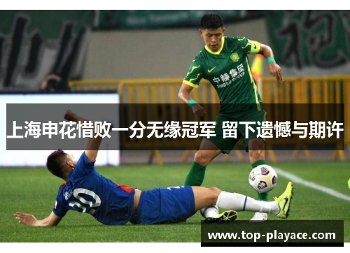 上海申花惜败一分无缘冠军 留下遗憾与期许
